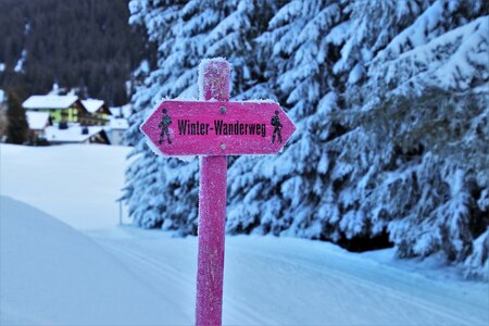 Signpost pink winter photo