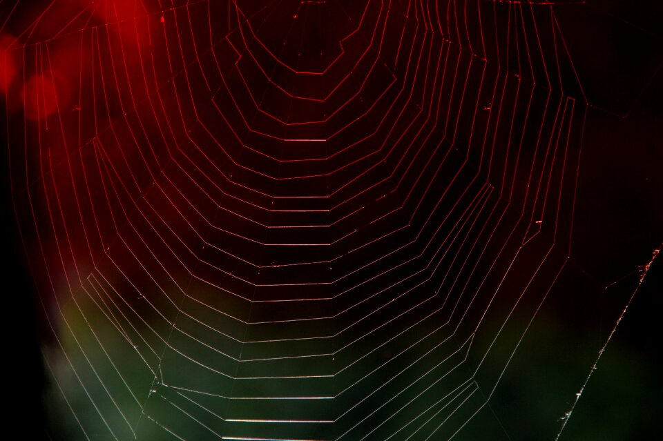 Weave structure background