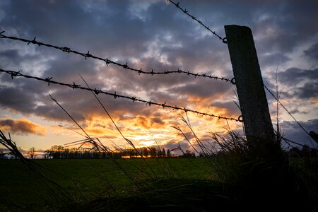 Barbed wire post grass