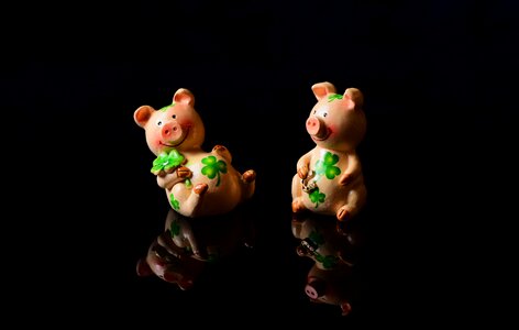 Cute piglet four leaf clover