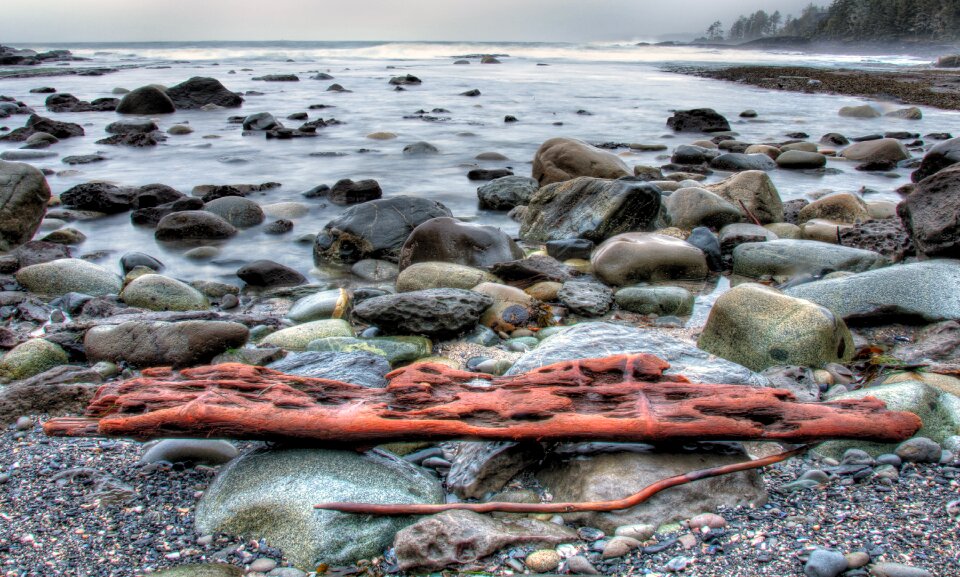 Blue botanical beach boulders