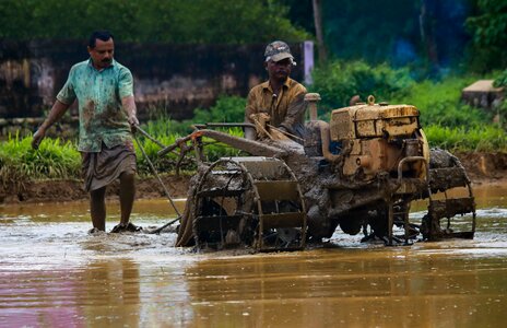 India green farmland photo