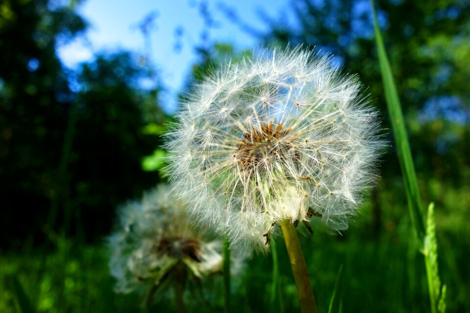 Puff-ball fluffy soft