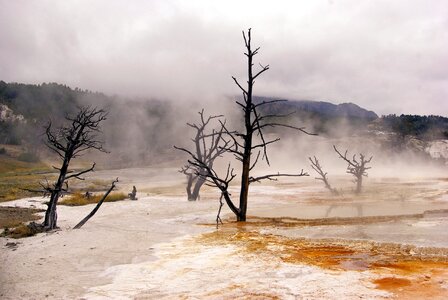 Spring yellowstone national