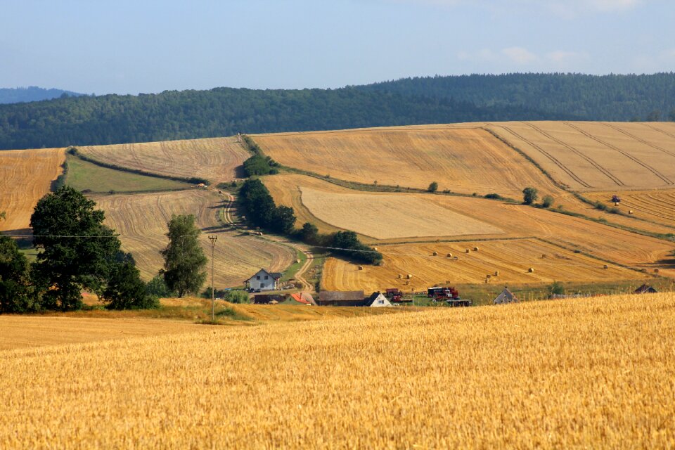 Mountains panorama summer