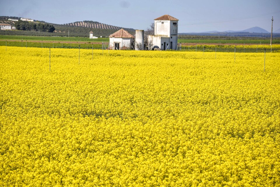Crop nature landscape
