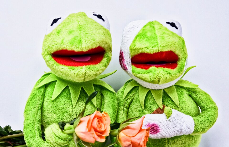 Get well soon roses soft toy