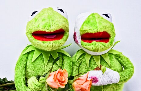 Get well soon roses soft toy photo