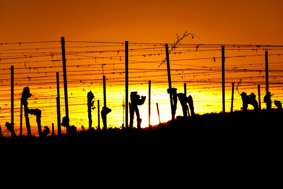 Silhouette landscape nature