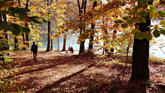 Nature panorama the stage