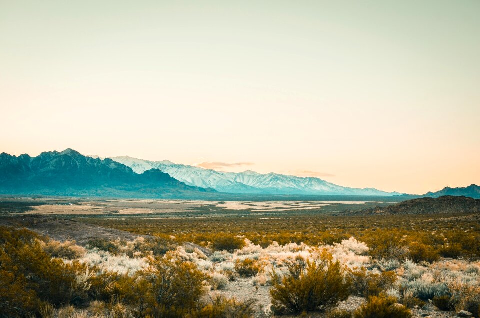 Cordillera nature argentina