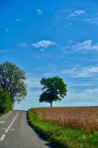 Crop landscape highway