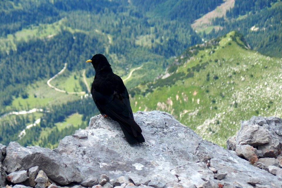 Rock rocks on the edge