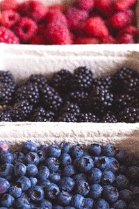 Raspberries fruit food photo