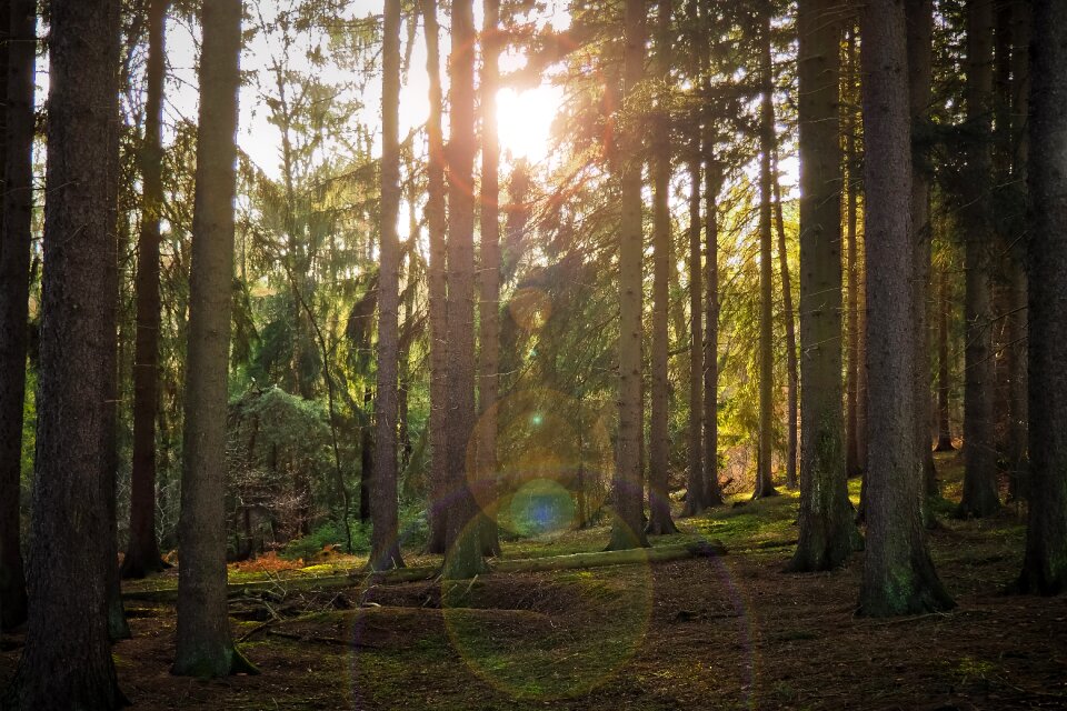Landscape secret light
