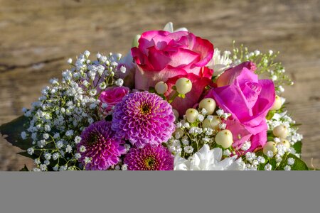 Flowers congratulations wedding photo