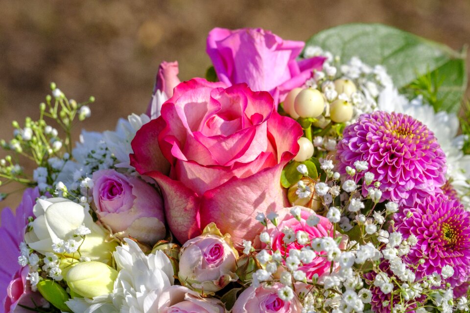 Flowers congratulations wedding