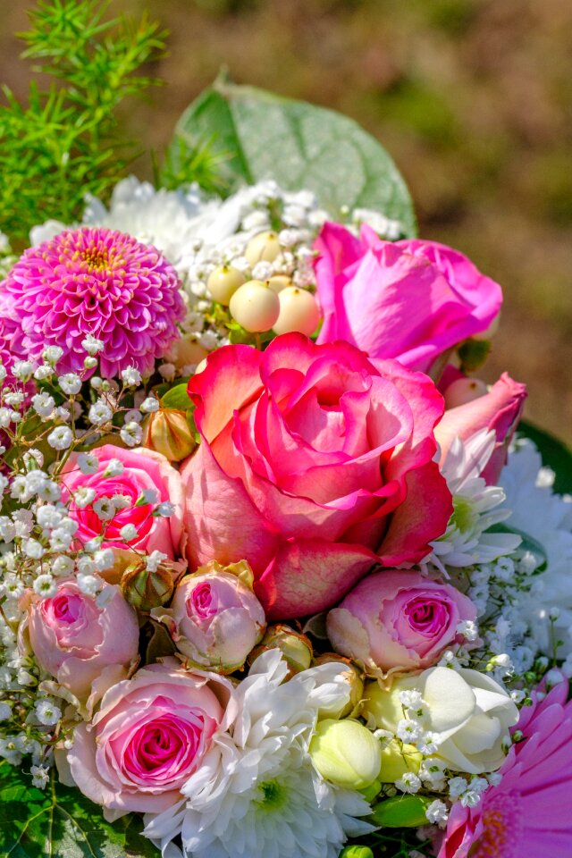 Flowers congratulations wedding
