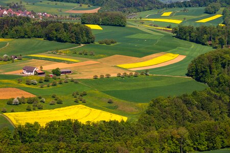 Shades of green agriculture nature