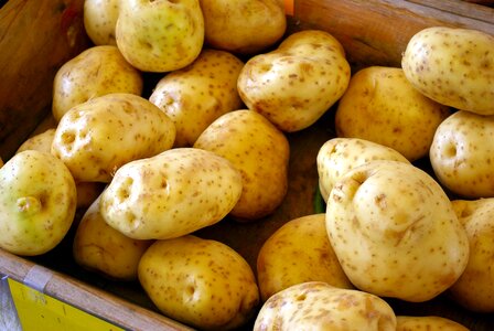 Fresh food potatoes photo