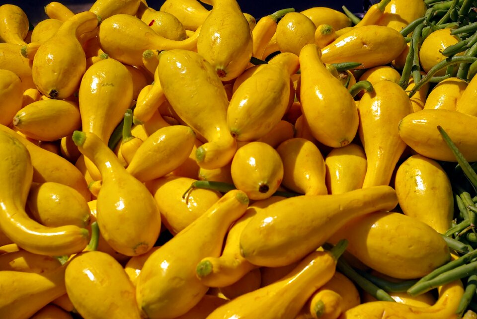 Colorful harvest color