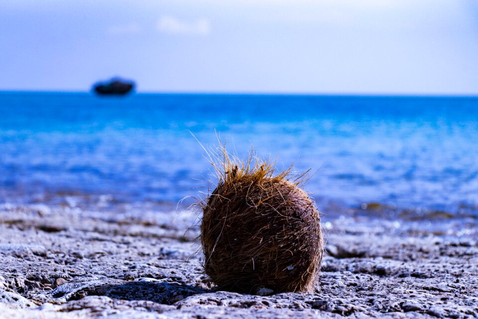 Sea landscape summer