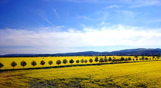 Clouds agriculture bright