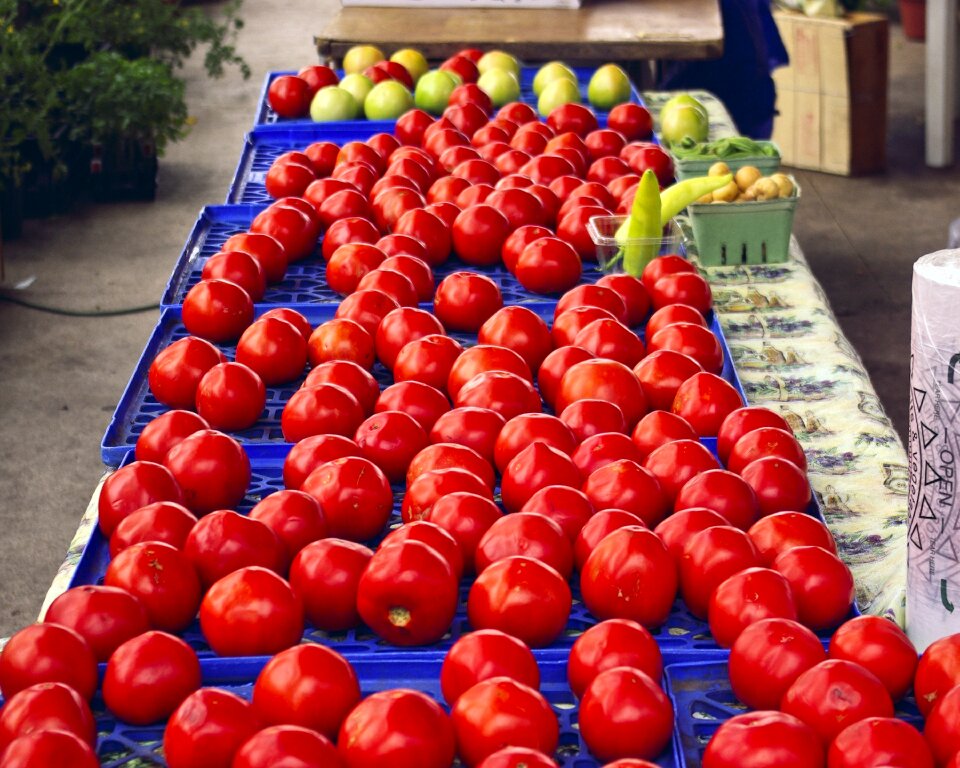 Tomatoes vegetables fresh