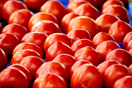 Food vegetables fresh
