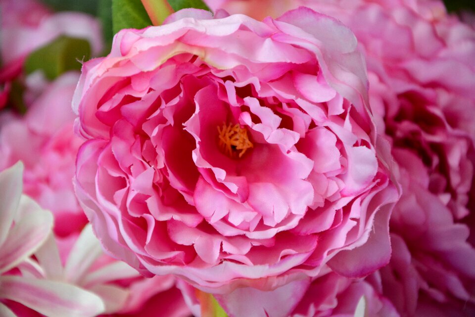 Nature decorative decoration