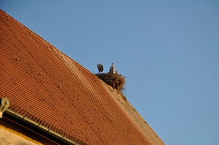 Nature building romantic