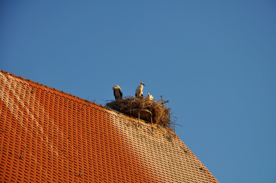 Nature building romantic