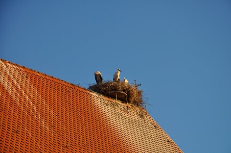 Nature building romantic