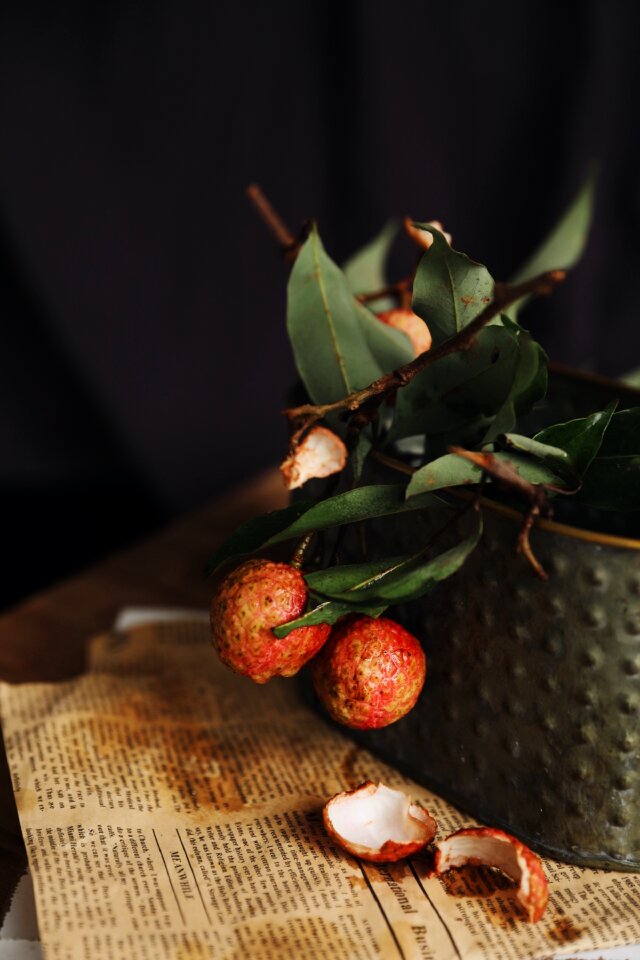 Fruit newspaper leaves
