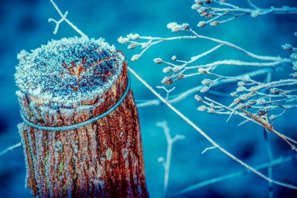 Iced crystals eiskristalle