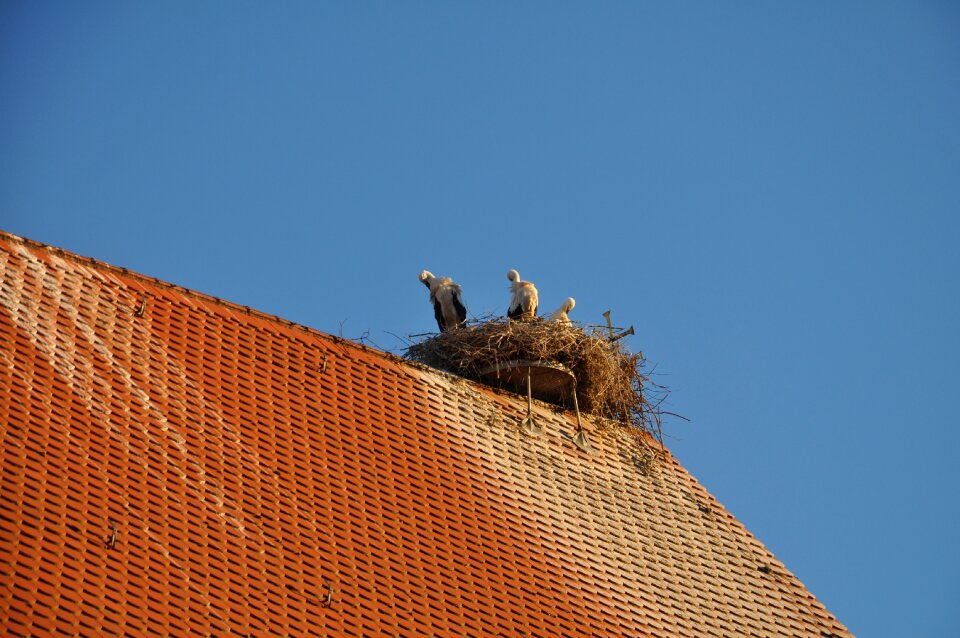 Nature building romantic