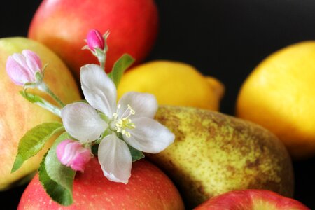 Food healthy fresh