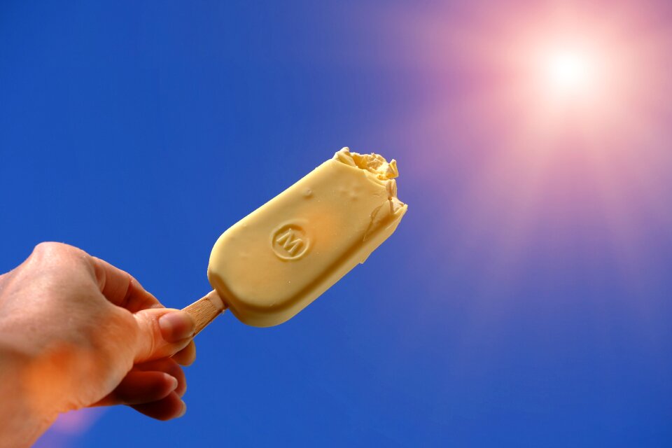 Summer sun delicious