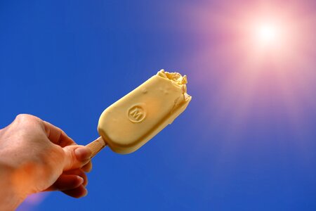Summer sun delicious