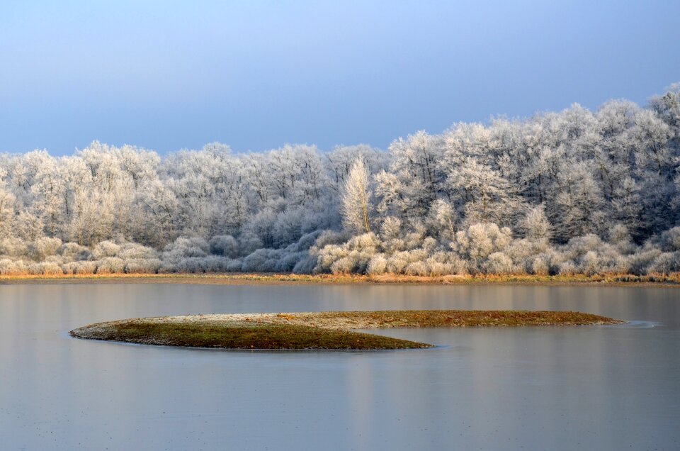 Cold nature frozen