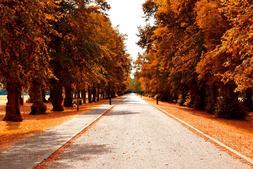Landscape vanishing point nature