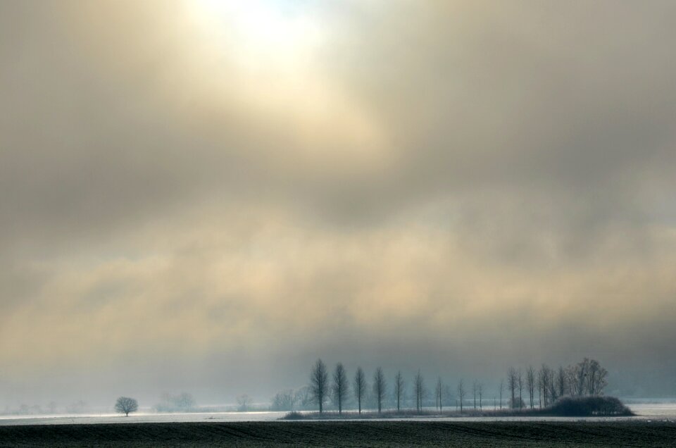 Winter flooded field