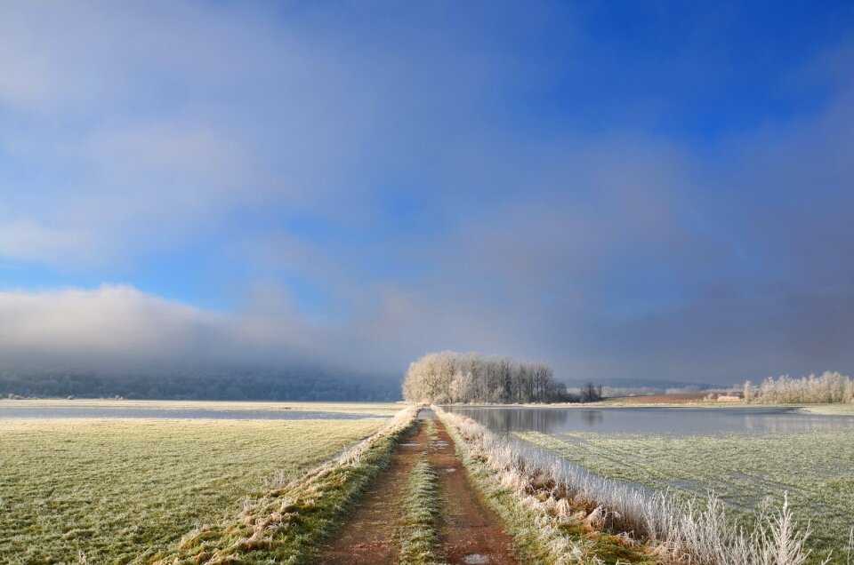 Winter cold nature