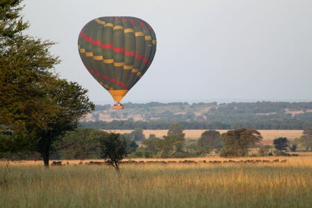 Tanzania seringeti balloon
