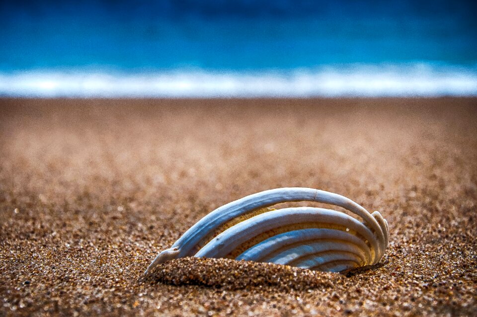 Holidays ocean summer