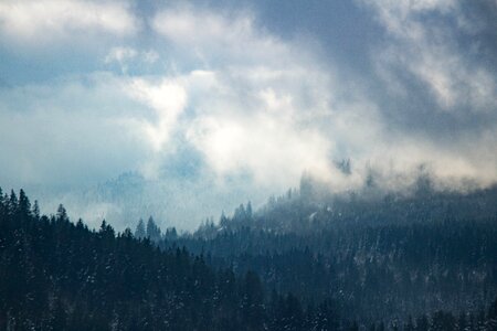Mountain fog mystic photo