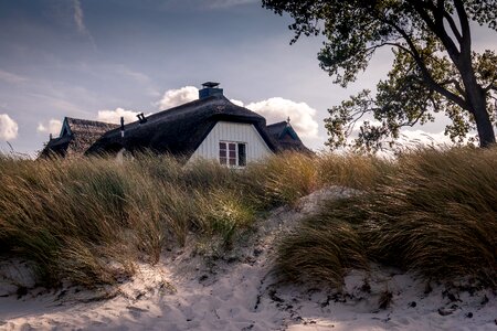 Nature ahrenshoop thatched roof photo
