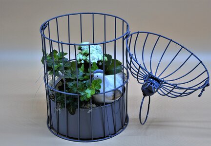 Plant aviary nostalgia