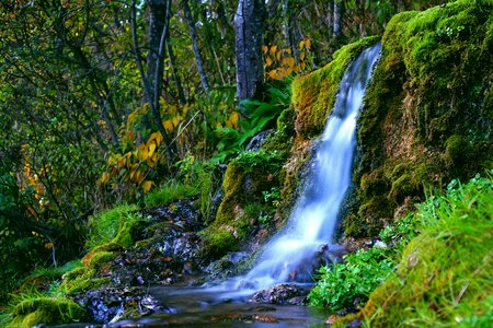 Waterfall moss green