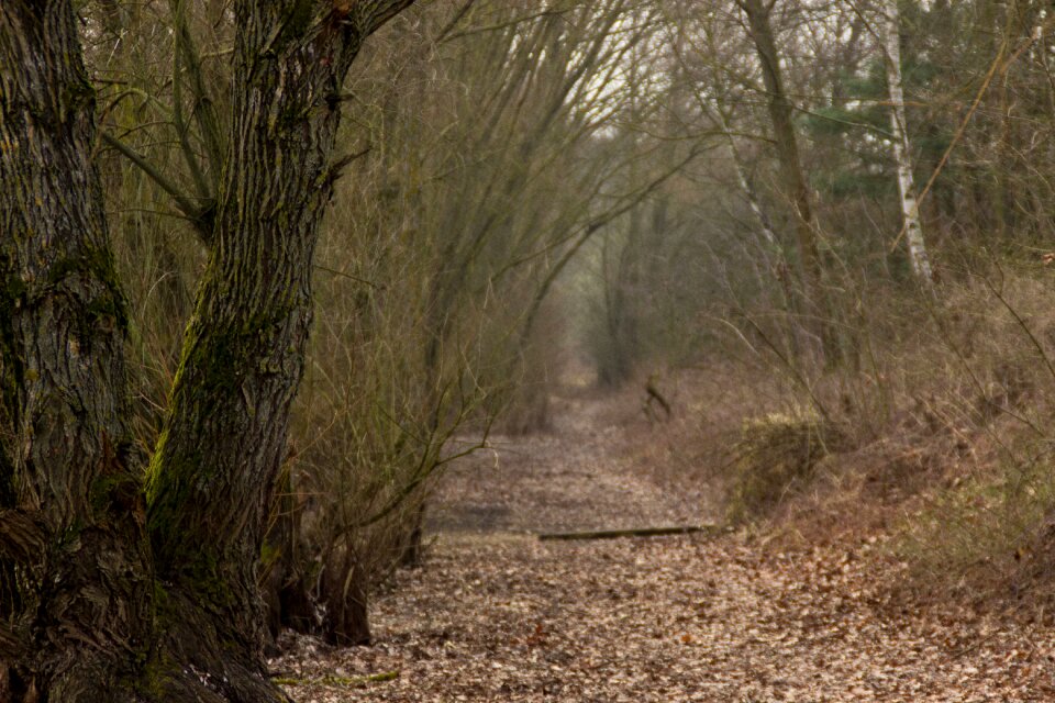 Autumn hiking trail